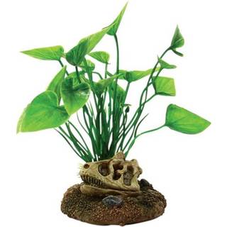 4FISH Skull and plants 6.5x6.3x12 cm