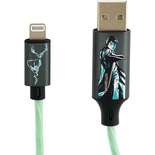 Harry Potter - USB A to Lightning Light-Up 1.2m