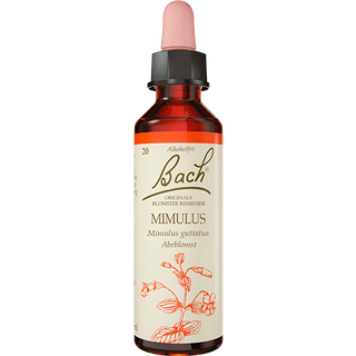 Bach Abeblomst - 10 ml
