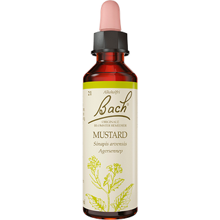 Bach Agersennep - 10 ml