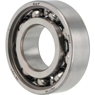 Skf Leje 6004 explorer 20x42x12