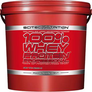 Scitec 100% Whey Protein Professional, 5 kg (Chocolate Hazelnut)