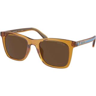 Coach HC8374U CH561 57483G 51 Solbriller Kvinder Brun - Transparent Brown - 51mm