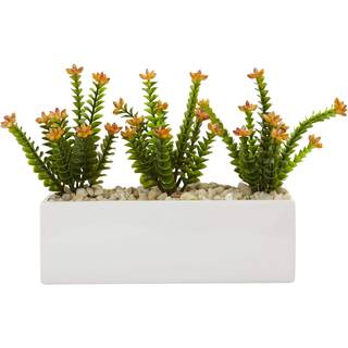 Næsten naturlig 6925 blomstrende sedum i rektangulær planter grøn / gul