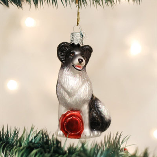Old World Christmas Ornaments: Border Collie Glass bl?st ornamenter til juletr? (12302)
