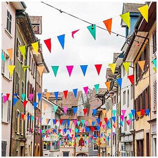 250stcs 263ft Multicolor Pennant Flags Nylon Fabric Decorations Grand Opening Banner Rop