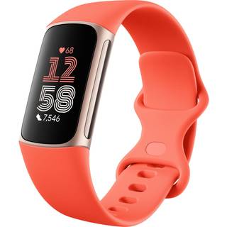 Fitbit Charge 6 - Stort