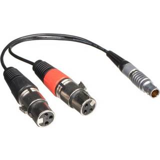 Atomos Lemo to XLR Breakout cable (input only)