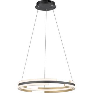 Paul Neuhaus Q-Beluga LED-hængelampe, messing