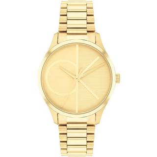 Calvin Klein 25200346 Iconic Guld/Gul guldtonet stål Ø42 mm