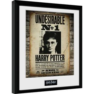 HARRY POTTER - Collector Print 30X40 - Undesirable No1