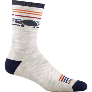 Darn Tough Men's Pacer Micro Crew Ultra-Lightweight Running Sock Cushion Ash, XL (46-47)