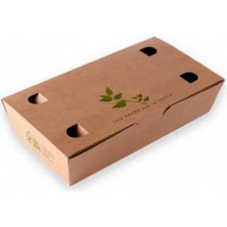 FoodBox 2 Brun med aftagelig låg 300 stk 145 x 81 x 53 mm