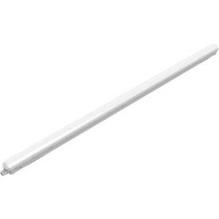 Philips - Projectline vandtæt TW NW 150 cm6000lm