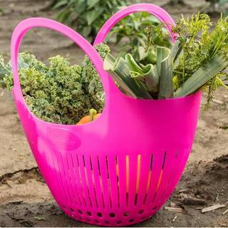 Hutzler haven colord pink