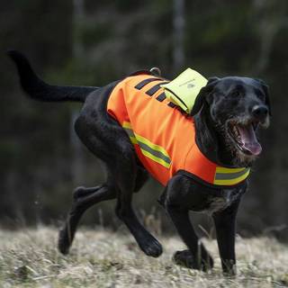 Dogtech HiVis - High Visibility Vest Hivis Red, XS