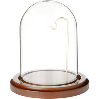 Plymor 3 """" X 4 """" Watch Glass Display Dome Cloche (Walnut MDF Base & Brass Wire)