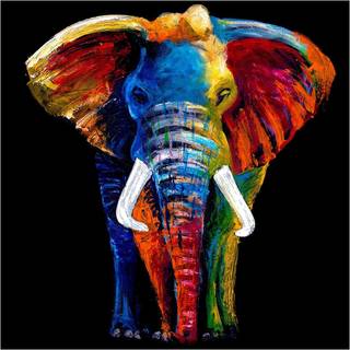 Lærredstryk - Elephant - Str: 100 x 100 Cm