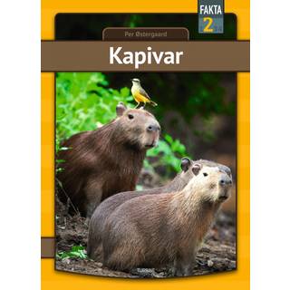 Kapivar