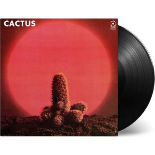 Cactus