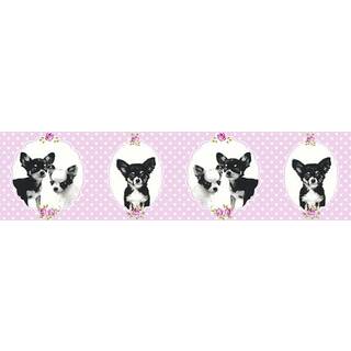 Albany Border Little Stars Chihuahua Border 35850-2