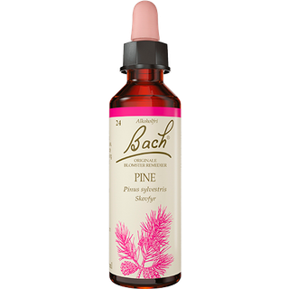 Bach Skovfyr - 10 ml