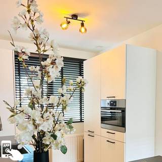 Smart loftspot sort med røgglas inkl. 2 Wifi P45 - Vidro