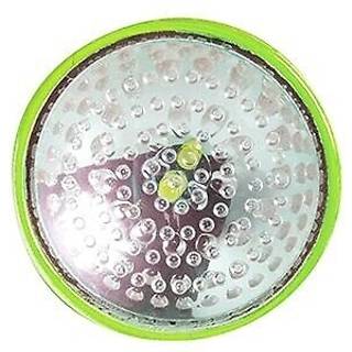 Kürbis Licht Stroboskop