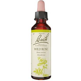 Bach Hunderose - 10 ml