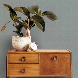 Superfresco Easy Wallpaper Zara 122437
