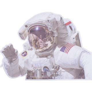 Thumbs Up! NASA Ride With Astronaut