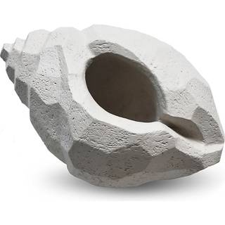 Cooee Design The Pear Shell skulptur 16 cm Limestone