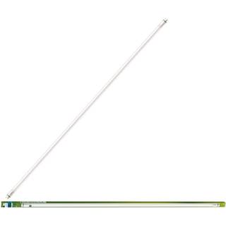Philips - LED T8 1500mm 20W G13 CW EELB 1CT/4