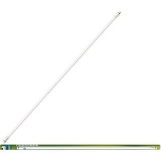 Philips - LED T8 1200mm 13.5W G13 CW EELB 1CT/4