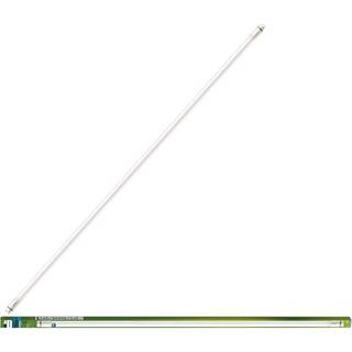 Philips - LED T8 1200mm 13.5W G13 CDL EELB 1CT/4