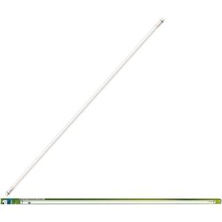 Philips - LED T8 1500mm 20W G13 CDL EELB 1CT/4