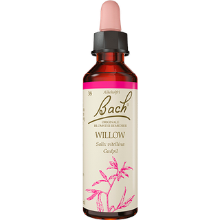 Bach Hvidpil (tidligere Guldpil) - 10 ml