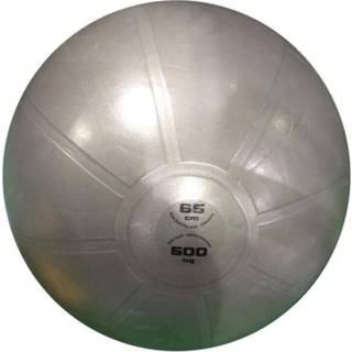 Toorx Træningsbold PRO ABS 65 cm.