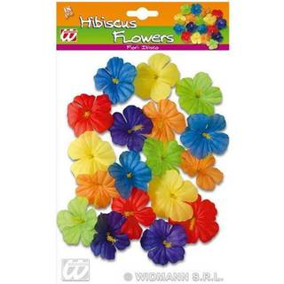 Hibiscus blomster