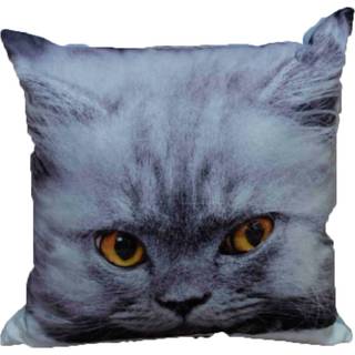 Kat pudebetræk 43 x 43 cm