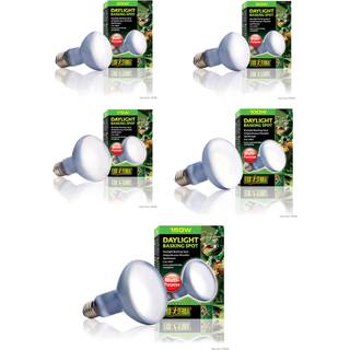 EXO TERRA SunGlo Daylight 25 w.