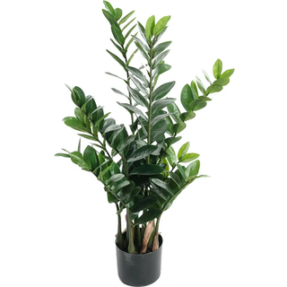 Mr Plant, Zamifolia Potteplante 90 cm