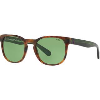 Polo Ralph Lauren PH4099 56742 52 Solbriller Mænd Tortoiseshell - Shiny Tortoise - 52mm