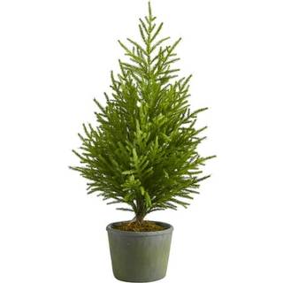 3 Norfolk Island Pine Natural Look kunstigt tr? i dekorativ planter