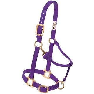 Weaver Leather Original Justerbar Nylon Horse Halter Lille hest Purple