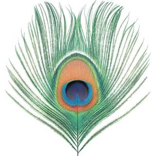 Xtc - Wasp Star (Apple Venus Vol. 1)