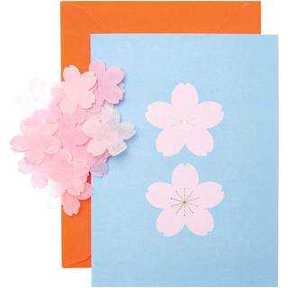 Paper Poetry Grußkartenset Kirschblüten hellblau