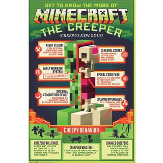 Minecraft plakat med creeper anatomi - 61 x 91cm