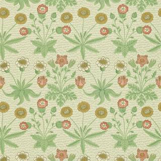 Daisy - Artichoke/Plaster