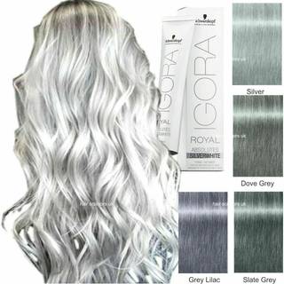 Schwarzkopf Igora Royal Absolutes Silverwhite - Slate Grey 60 ml
